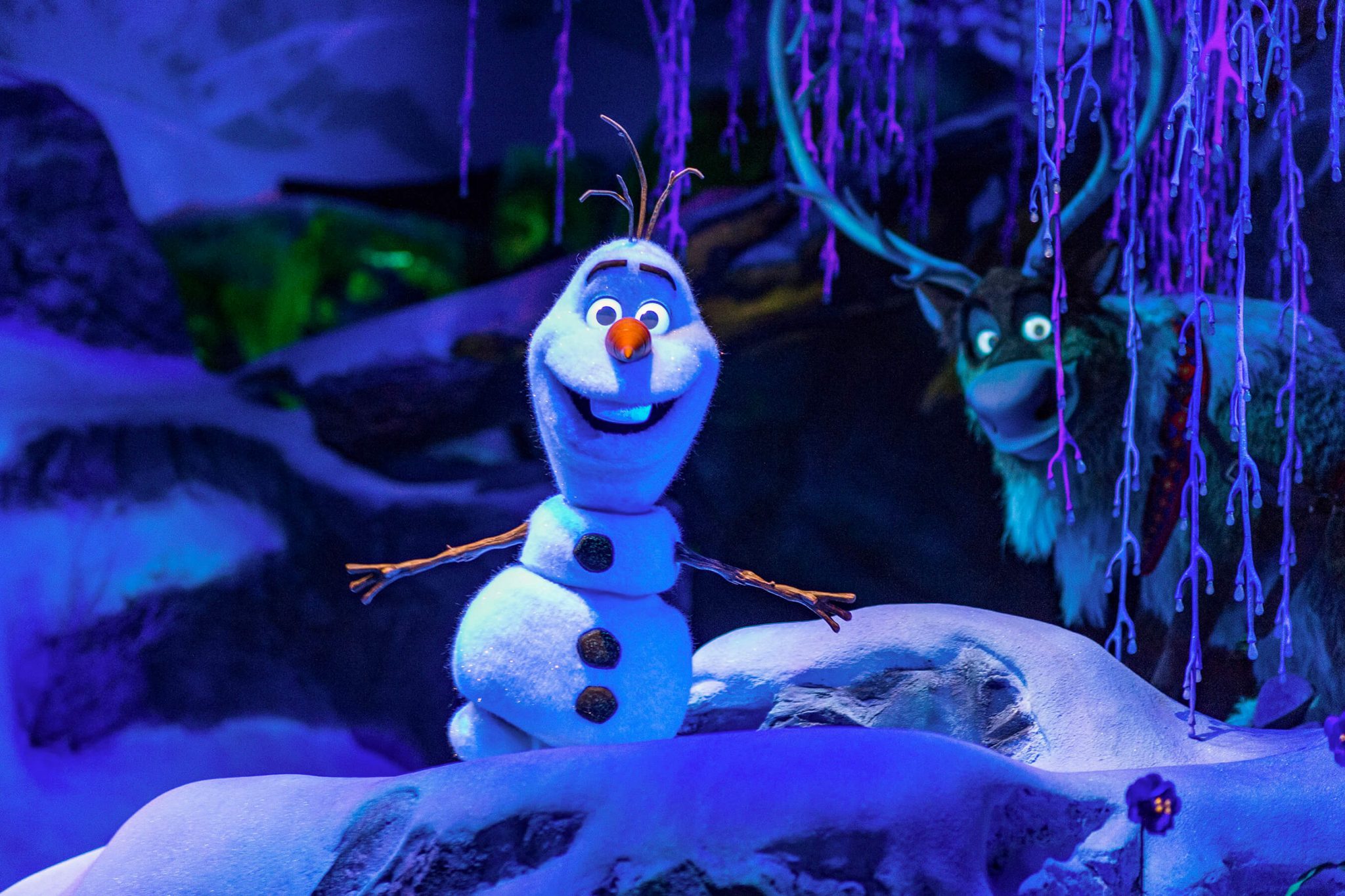 Inverno Em Orlando Paradiso Grande